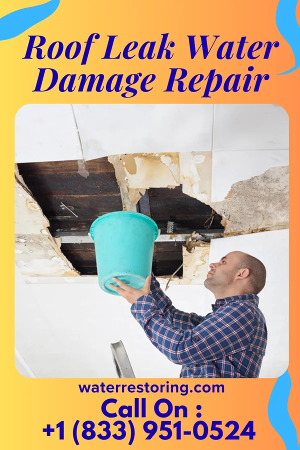 Roof Leak Water Damage Repair in Charlotte Harbor, FL
